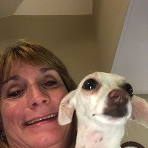 Meet your Posher, Mitzi